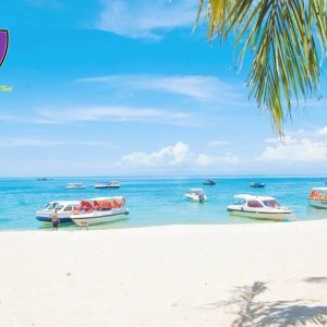 Cham Island Snorkeling Tour - Hoi An Private Car