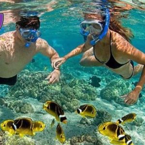 Cham Island Snorkeling Tour - Hoi An Private Car