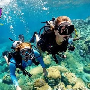 Cham Island Snorkeling Tour - Hoi An Private Car