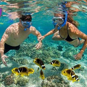 Cham Island Snorkeling Tour - Hoi An Private Car