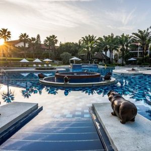 Da Nang Airport to Palm Garden Resort private car - Hoi An Private Car