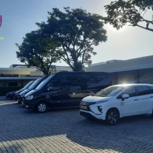 Da Nang to My Son by private car day tour - Hoi An Private Car