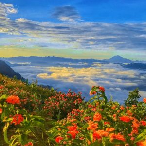 Hanoi To Mai Chau Luxury Car - Hoi An Private Car