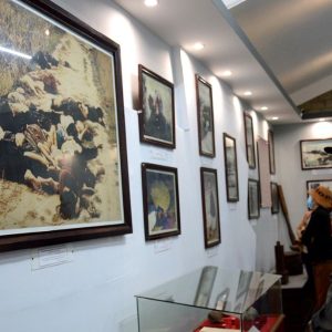 Hoi An My Son My Lai Massacre 1 Day Tour - Hoi An Private Car