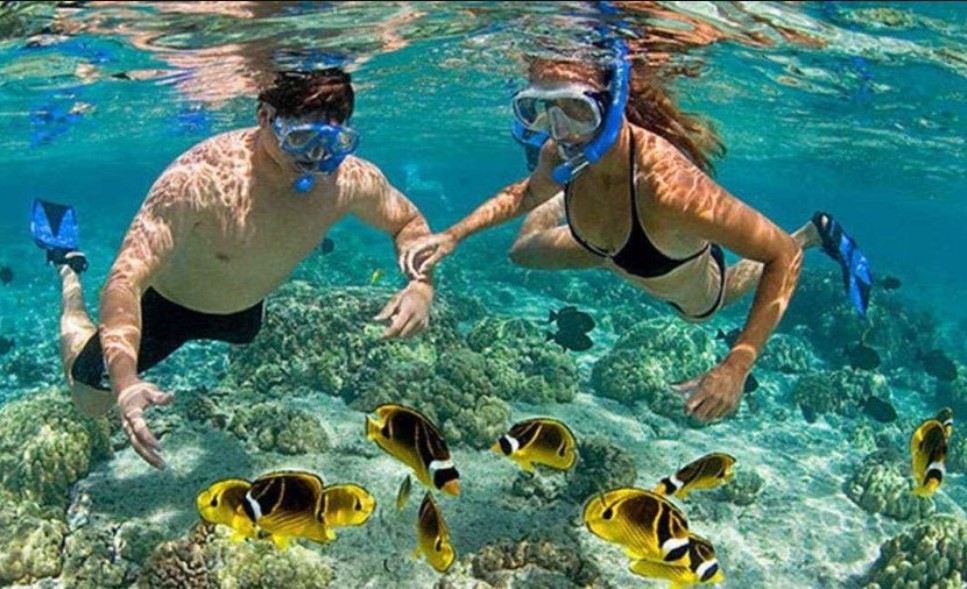 Cham Island Snorkeling Tour- Hoi An Private Car
