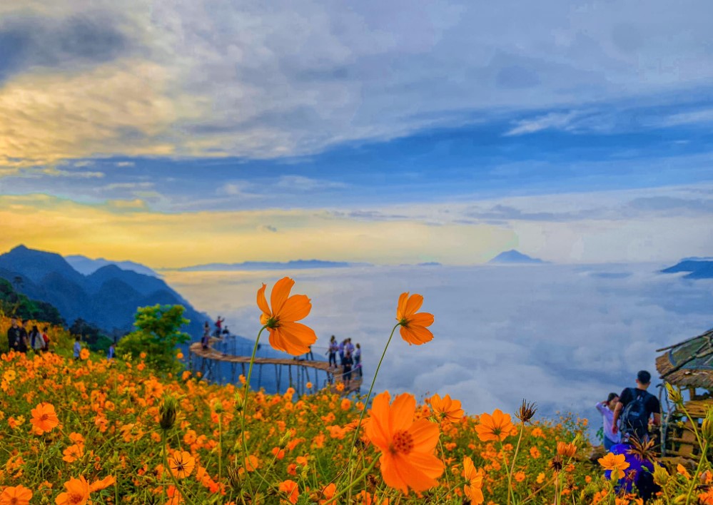 How to travel from Nha Trang to Dalat