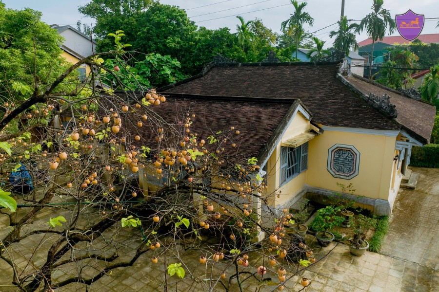 Ngoc Son Garden House - Hoi An Private Car