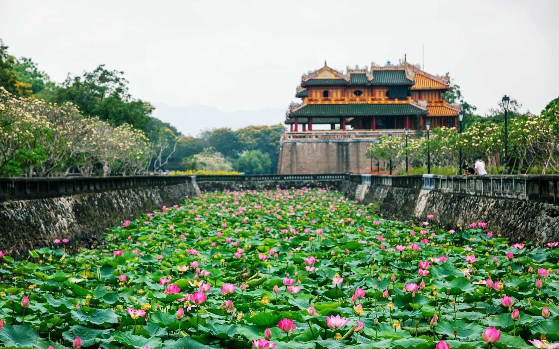 How to travel to Hue- Hoi An Private Car