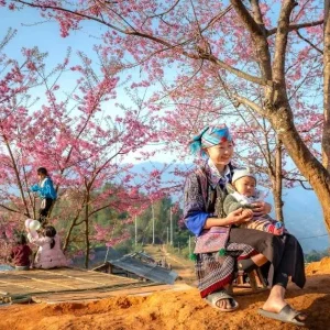 Halong Bay To Mu Cang Chai By Car - Hoi An Private Car
