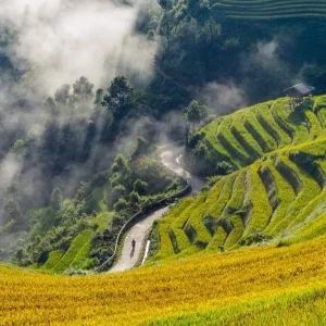Halong Bay To Mu Cang Chai By Private Car - Hoi An Private Car