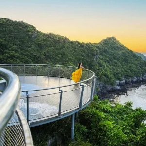 Moc Chau to Cat Ba Island private car - Hoi An Private Car