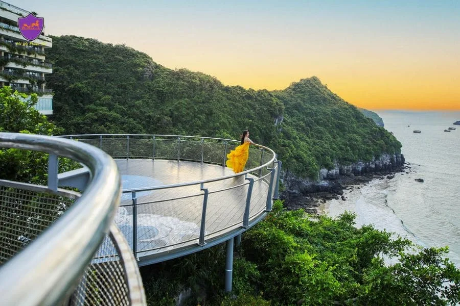 Moc Chau to Cat Ba Island private car - Hoi An Private Car