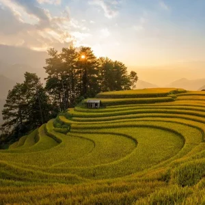 Hai Phong To Mu Cang Chai Private Car Transfer - Hoi An Private Car