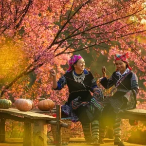 Hai Phong To Mu Cang Chai By Car Transfer - Hoi An Private Car
