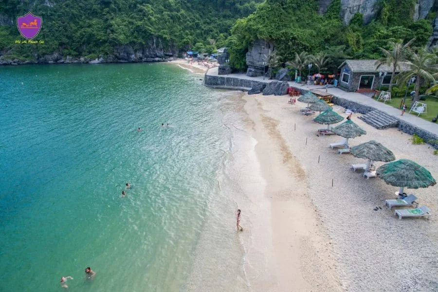 Private car Mai Chau to Cat Ba Island - Hoi An Private Car