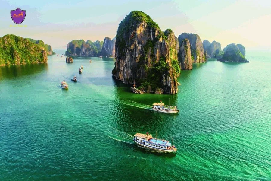 Private car Ha Giang to Halong Bay - Ha Giang Private Car