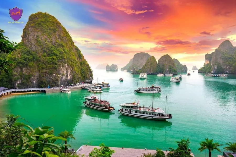 Private car Ha Giang to Halong Bay - Ha Giang Private Car