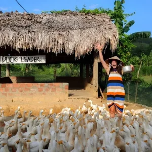 Dong Hoi To Duck Stop By Car - Hoi An Private Car