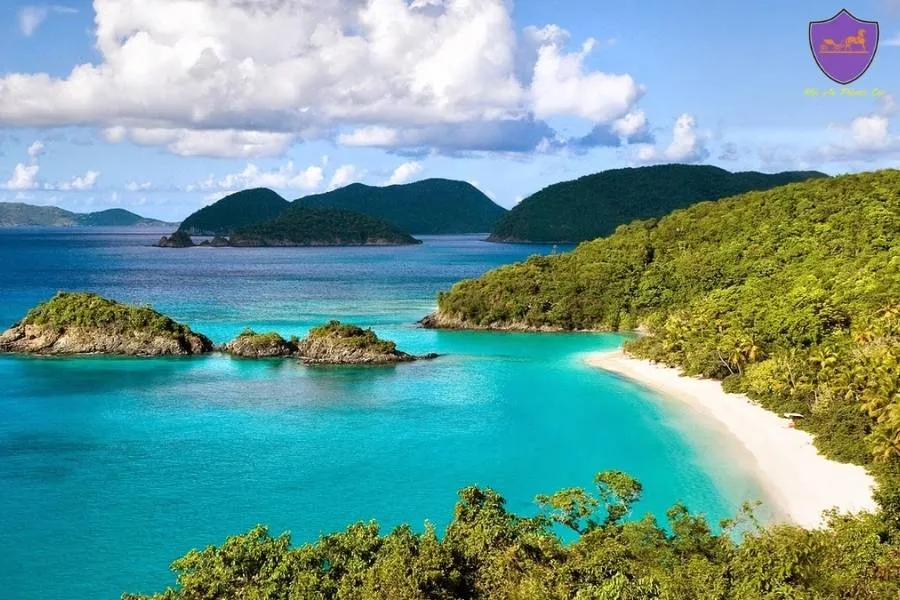 Private Car From Quy Nhon to Cam Ranh - Hoi An Private Car