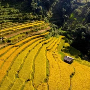 Hai Phong To Cao Bang By Car - Hoi An Private Car