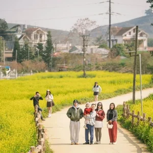 Hai Phong To Moc Chau By Private Car - Hoi An Private Car