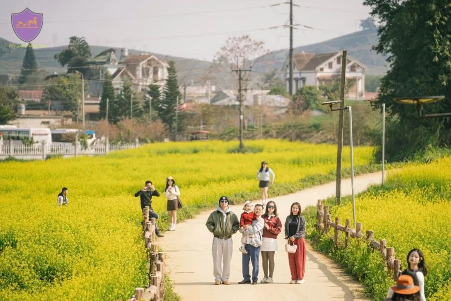 Hai Phong To Moc Chau By Private Car - Hoi An Private Car