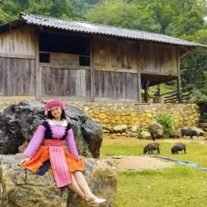 Hai Phong To Moc Chau By Private Car - Hoi An Private Car