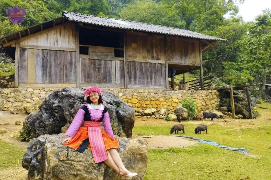 Hai Phong To Moc Chau By Private Car - Hoi An Private Car
