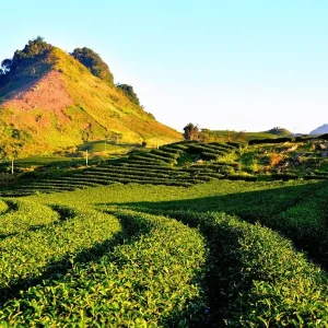 Hai Phong To Moc Chau Private Car Rental - Hoi An Private Car
