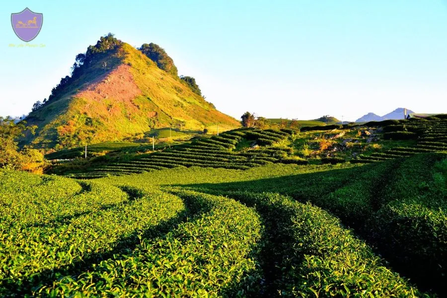 Hai Phong To Moc Chau Private Car Rental - Hoi An Private Car