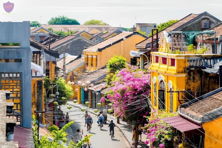 Transfer From Hoi An Ancient Town To Tra Que Vegetable Village - Hoi An Private Car