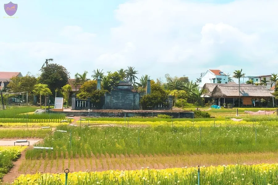 Exploring Tra Que Vegetable Village- Hoi An Private Car